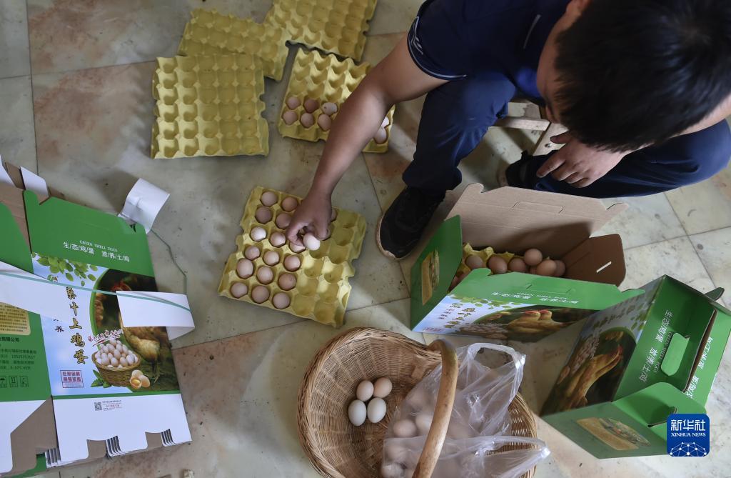 澳门银银河下载